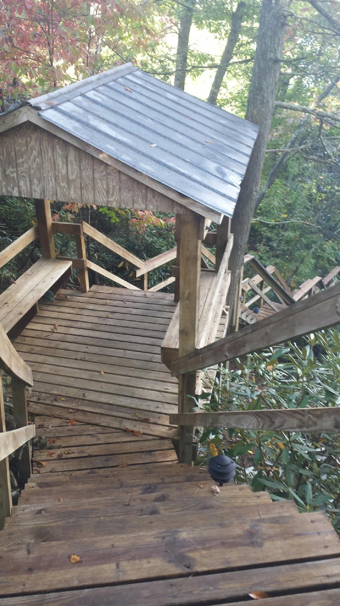Metal roofed shelter over wooden steps on a wooded walkway in Murphy